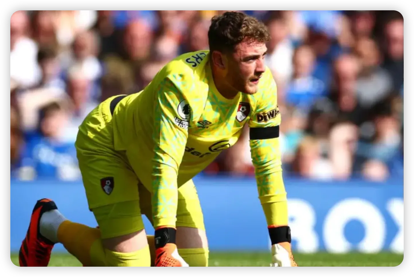 From Shamrock Rovers to the Premier League