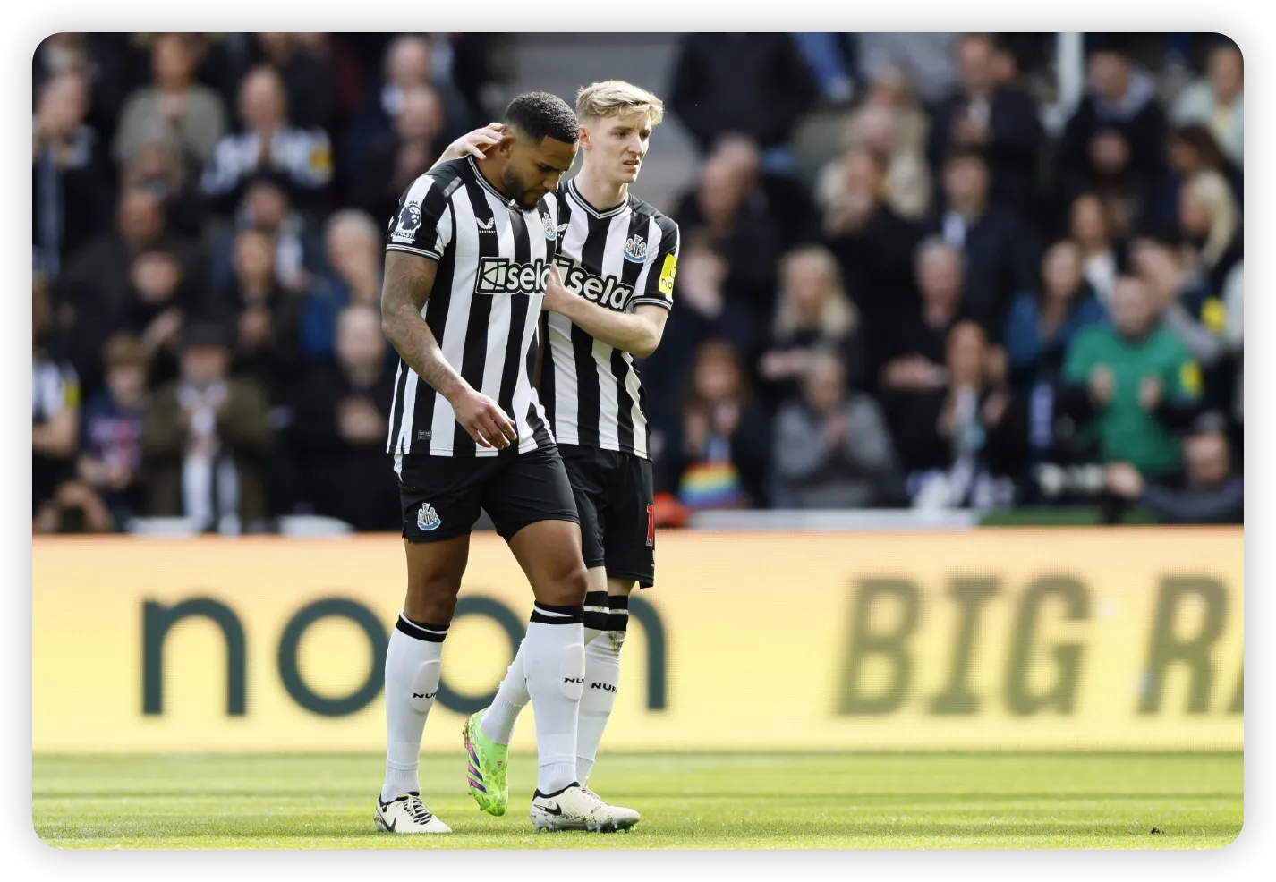 Wilson's Comeback Boosts Newcastle's Survival Hopes