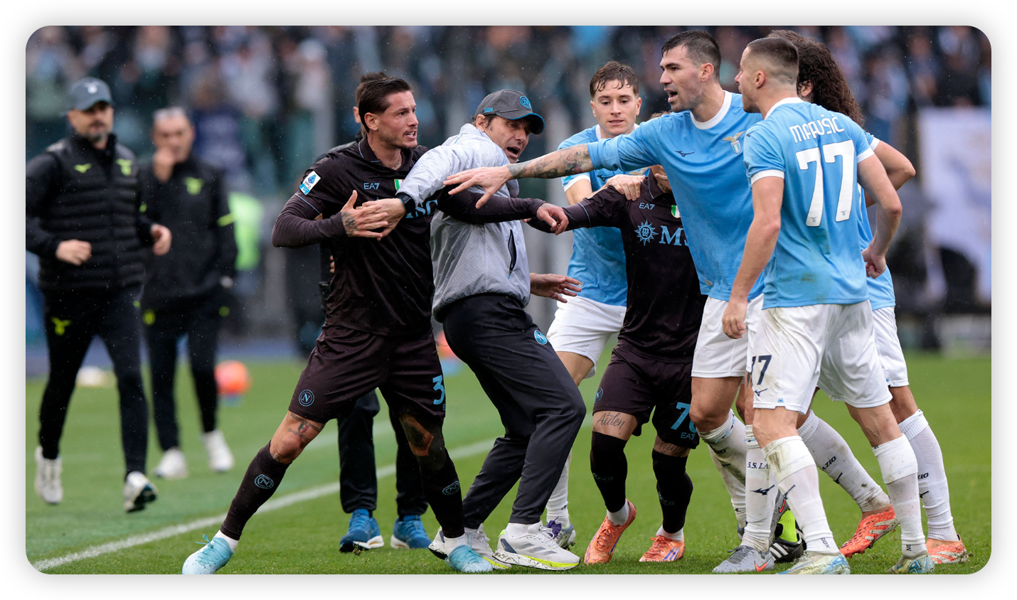 The Human Element: Fans and Community